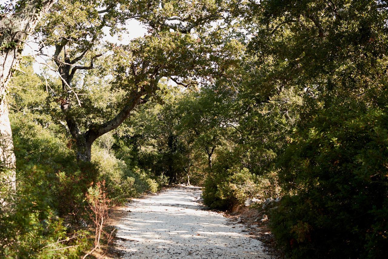 Masseria Grieco Ostuni Dış mekan fotoğraf