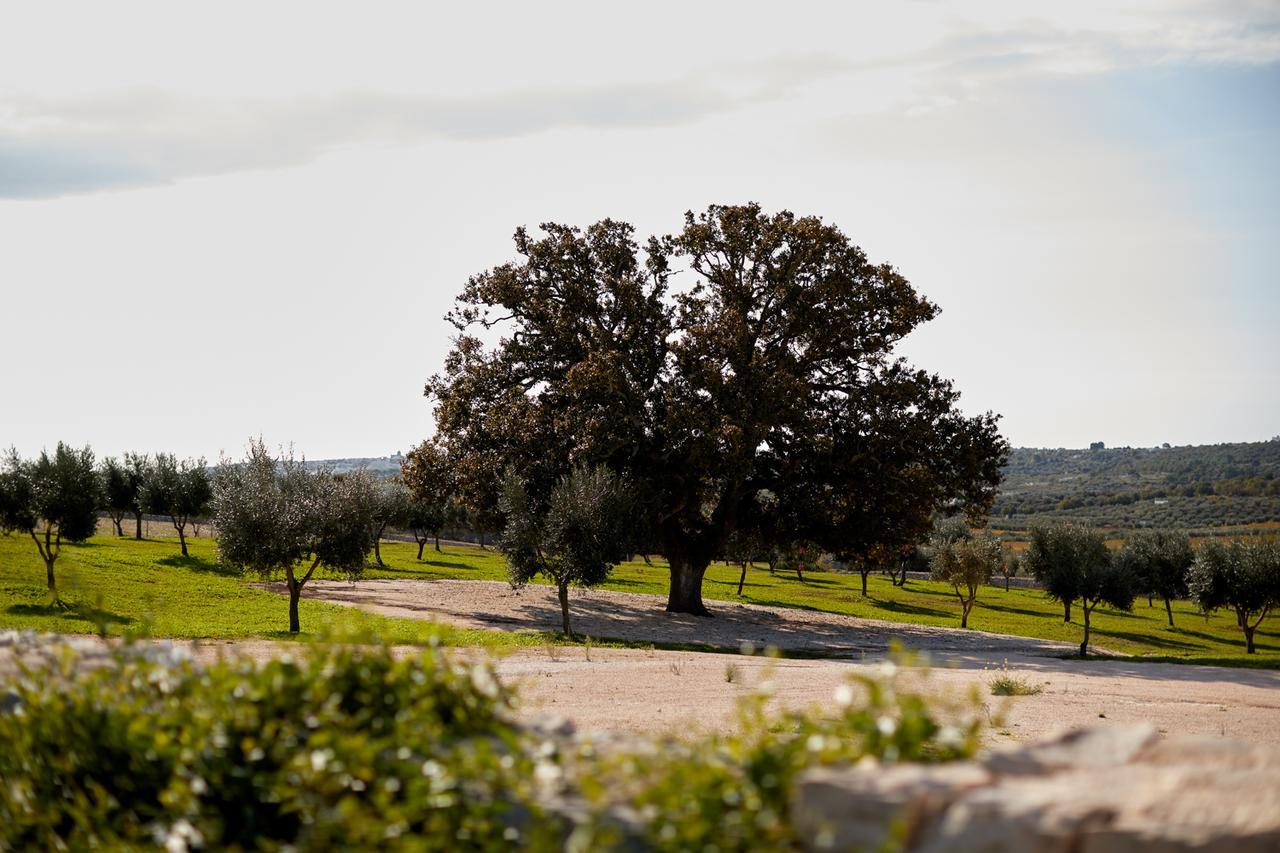 Masseria Grieco Ostuni Dış mekan fotoğraf